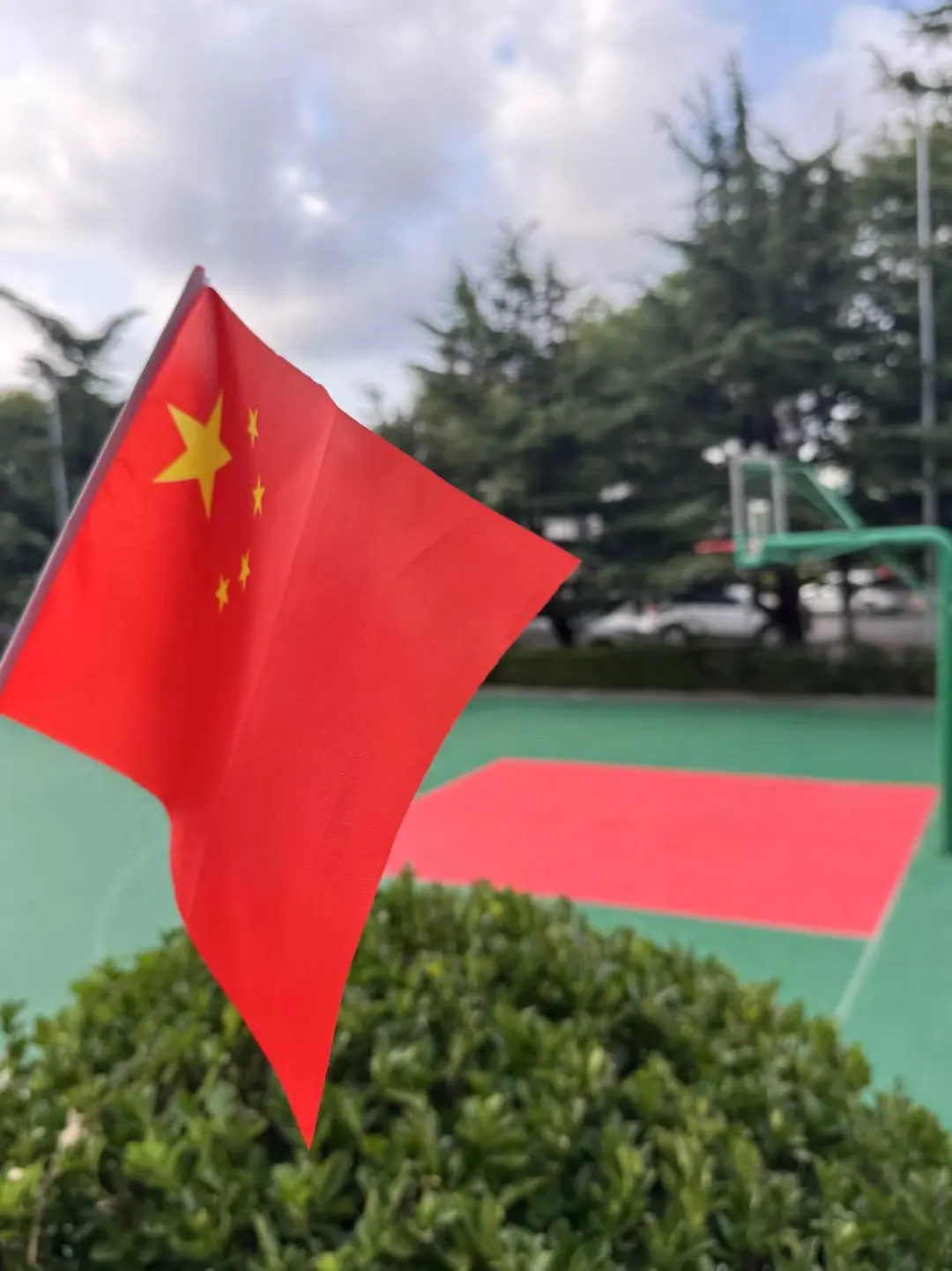 圖片